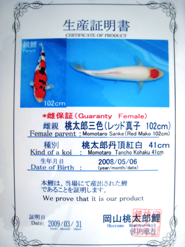 Giấy chứng nhận Momotaro Koifarm